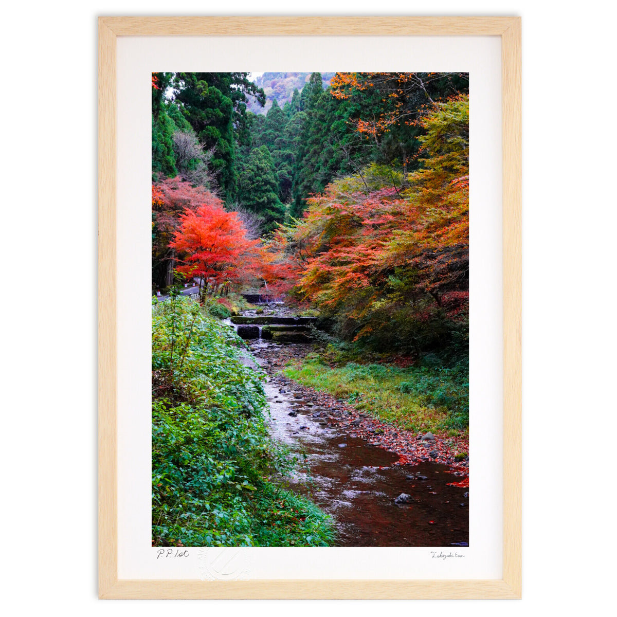 Beautiful autumn scenery