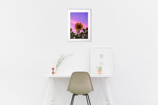 ひまわりの約束