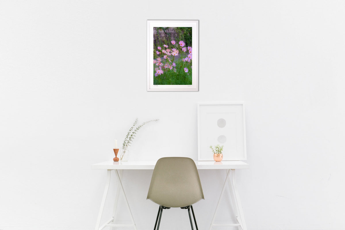 Pale pink flowers