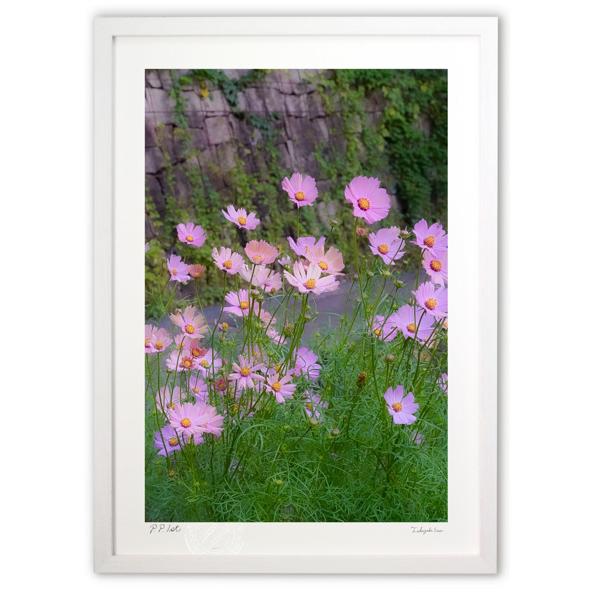 Pale pink flowers