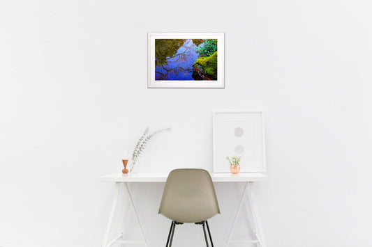 映し出された空と木に本物の紅葉