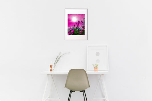 ピンク色の世界