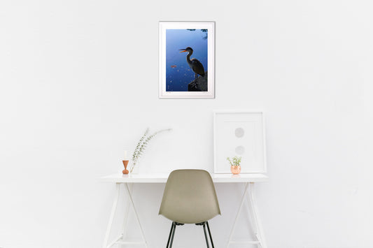 幸せの象徴 アオサギ