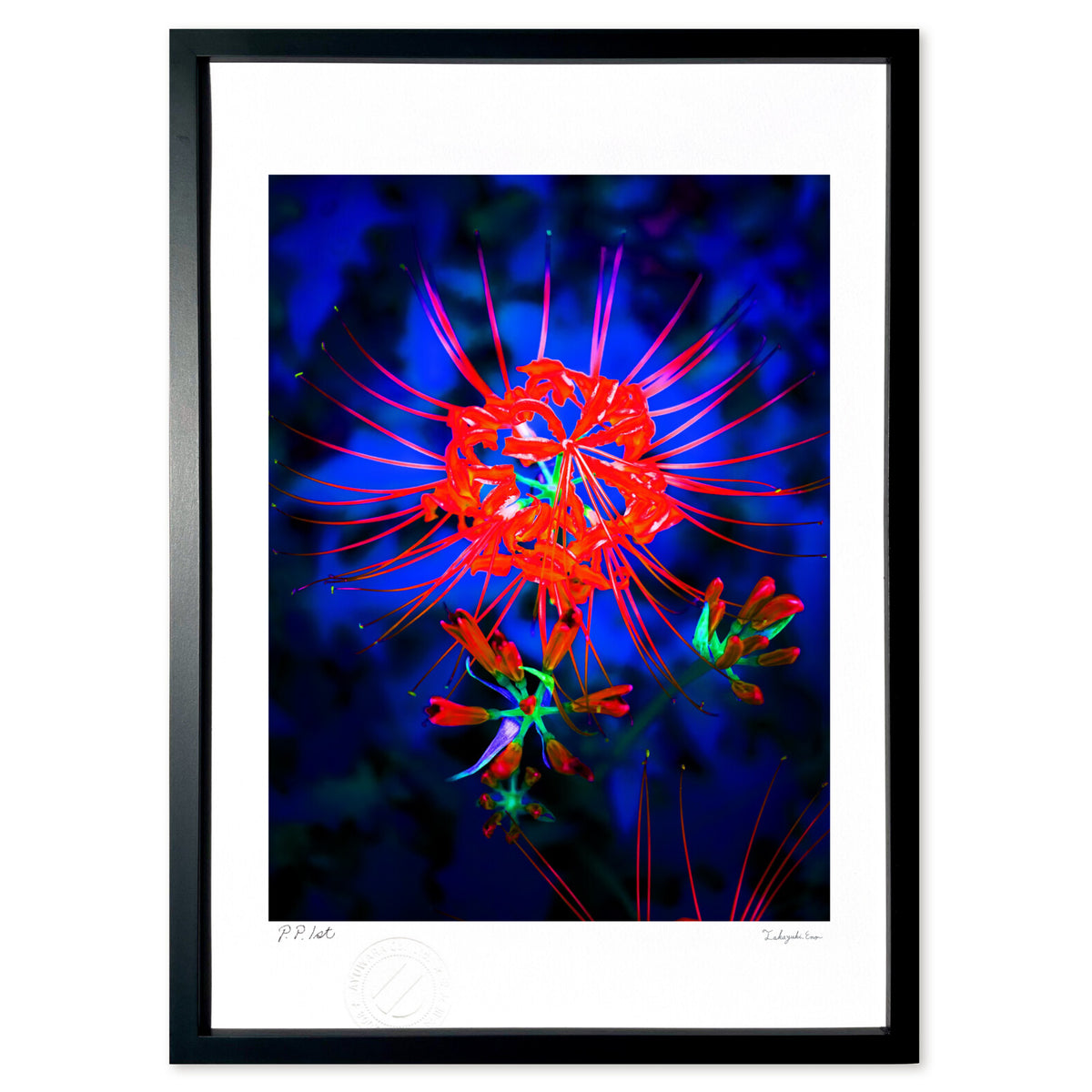 Autumn fireworks I saw in a dream