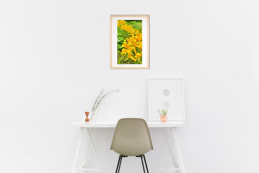 黄金色の彼岸花