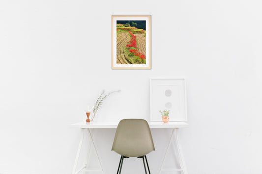 畔に咲く彼岸花