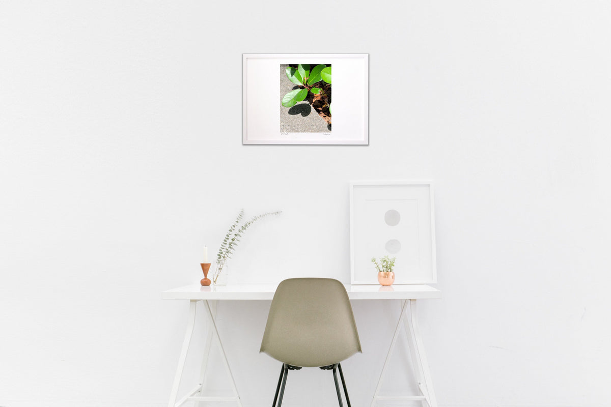 Photo Leaf Love Heart