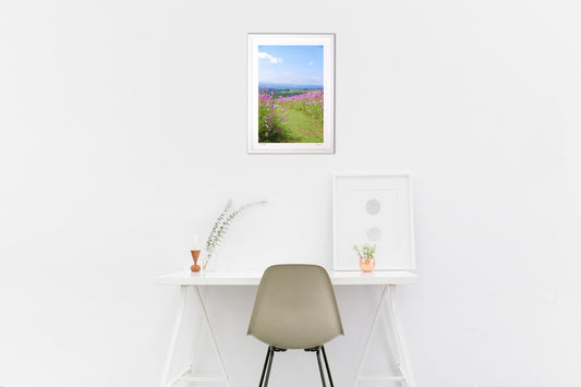 コスモスロード