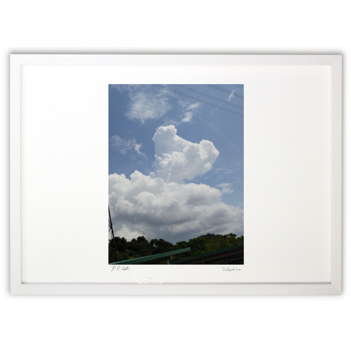 Photo Koala or Bear Cumulonimbus