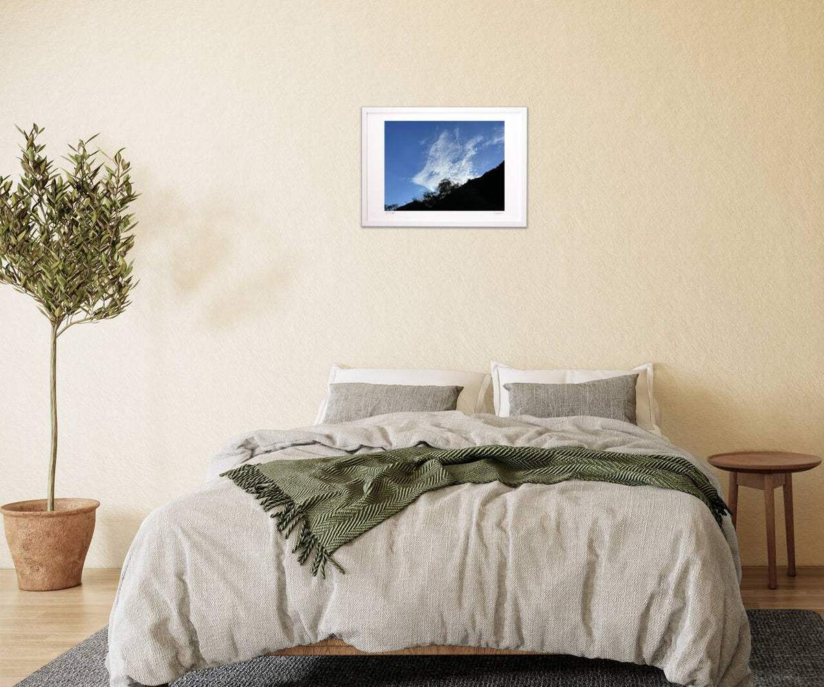 写真 夏空に浮かぶ