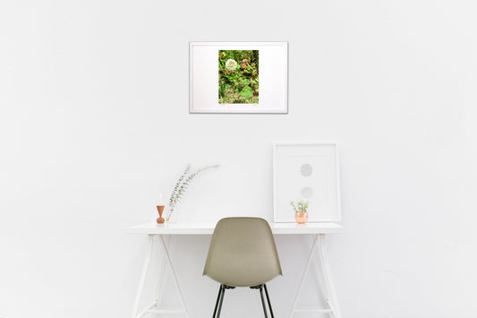 写真 幸せになれる?