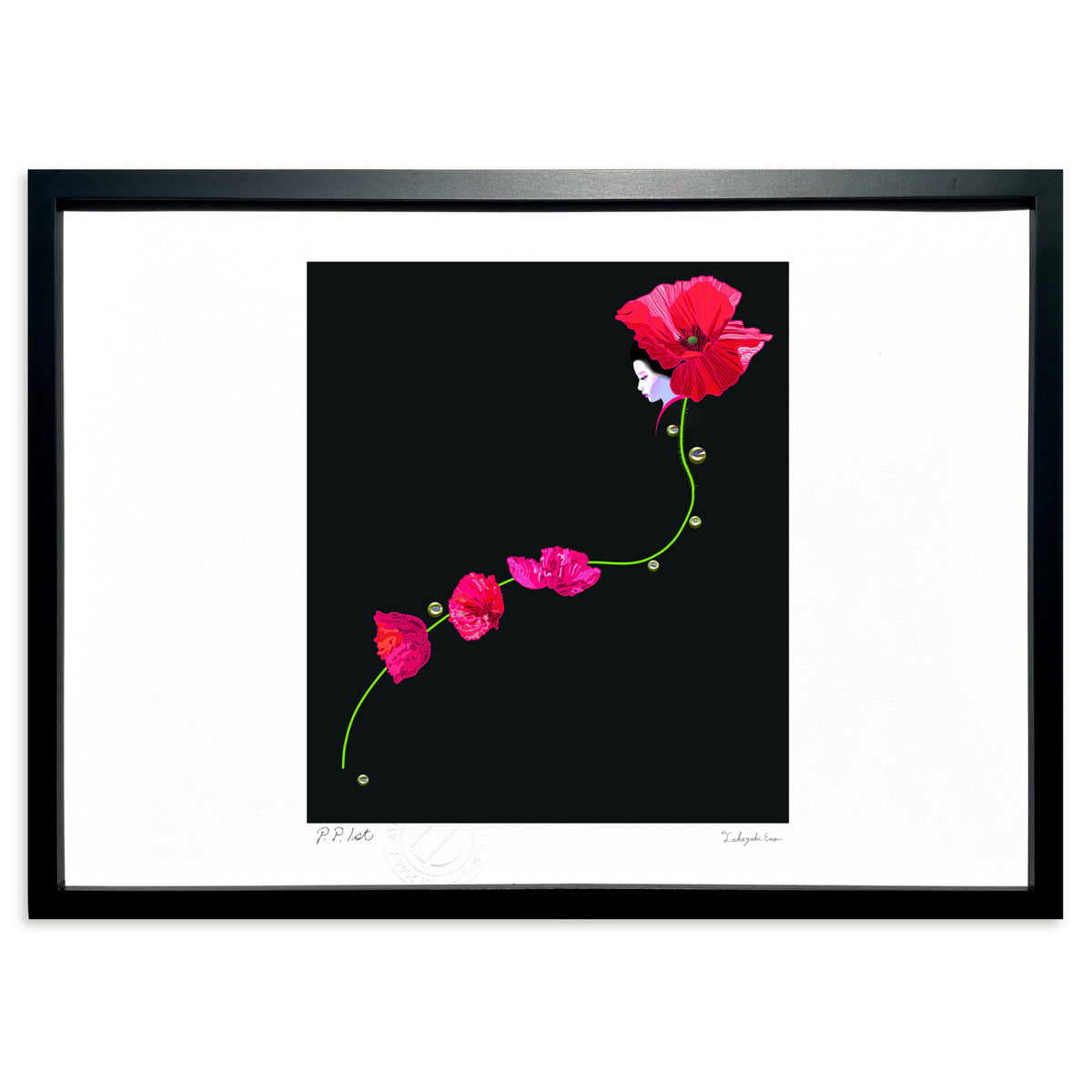 Corn poppy 4