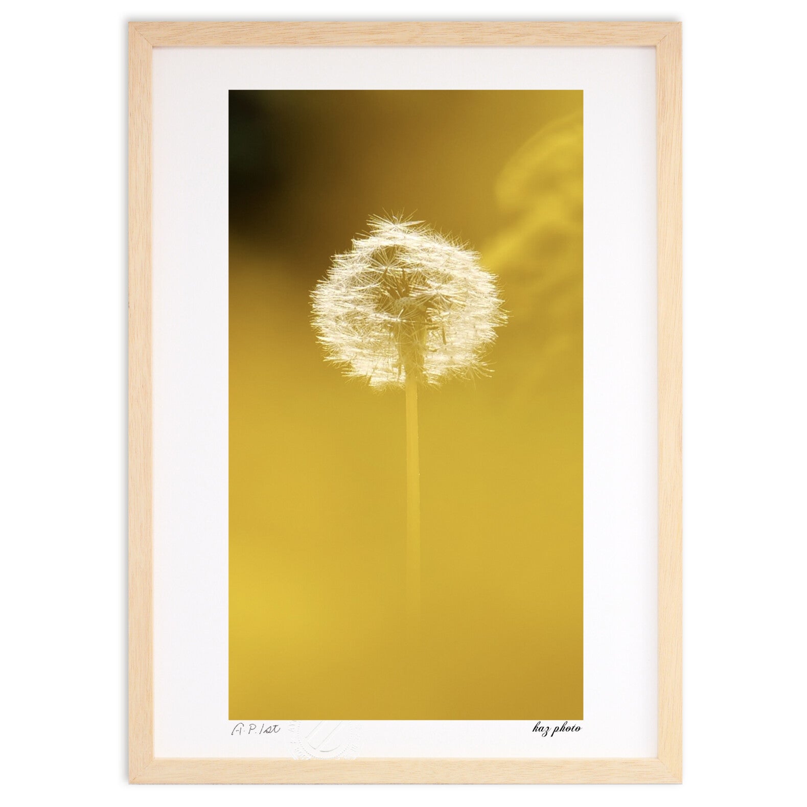 たんぽぽ – 絵画や壁飾り販売｜風景投稿販売あゆわら(R)