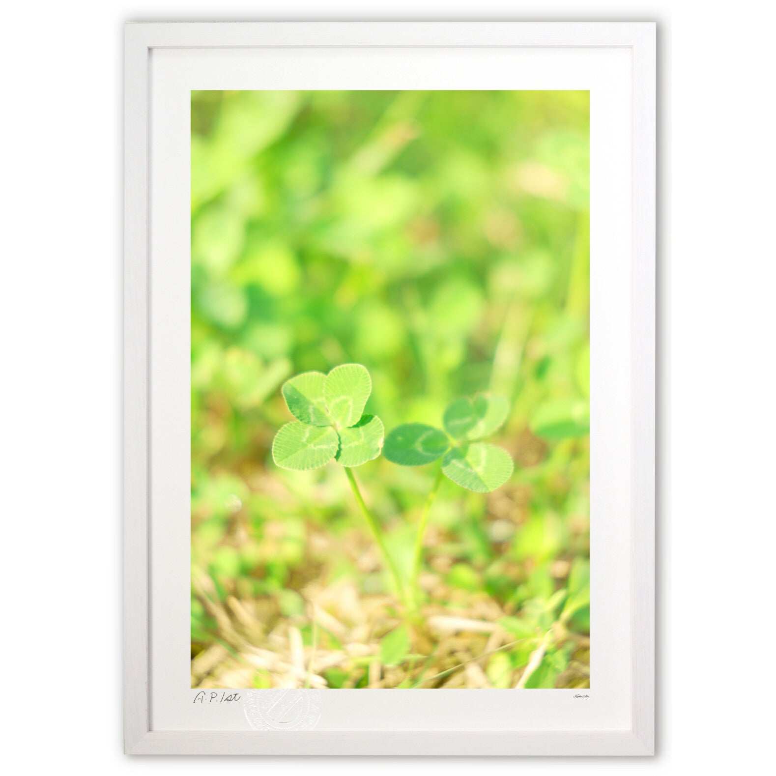 四つ葉のクローバー Amazon.co.jp: HDCRYSTALGIFTS クリスタルフラワー ドリームズ