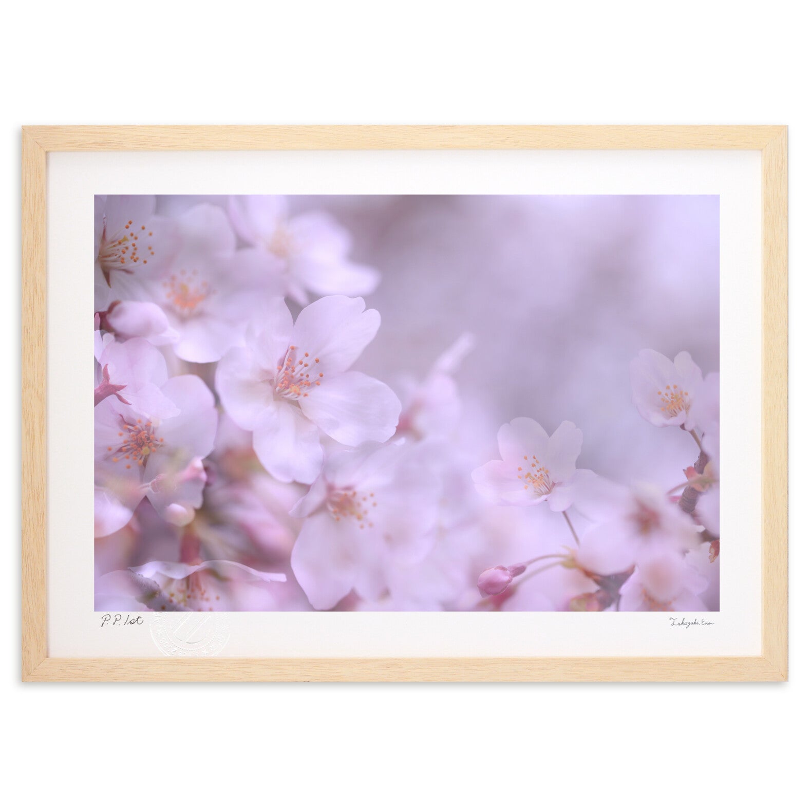 桜 – 絵画や壁飾り販売｜風景投稿販売あゆわら(R)