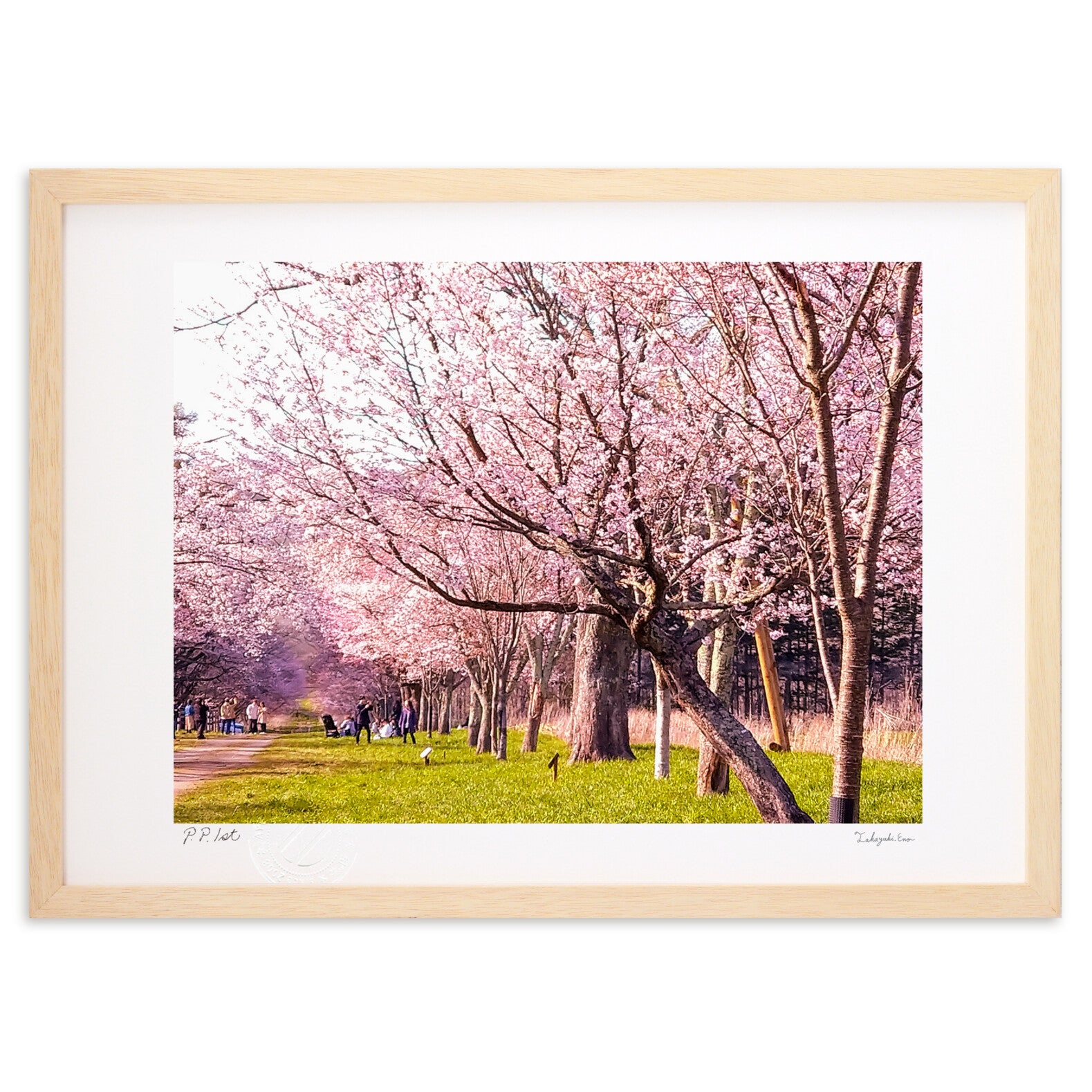 桜並木 風景画 版画 額装品.展示会作品 桜並木 – 絵画や壁飾り販売｜風景投稿販売あゆわら(R)