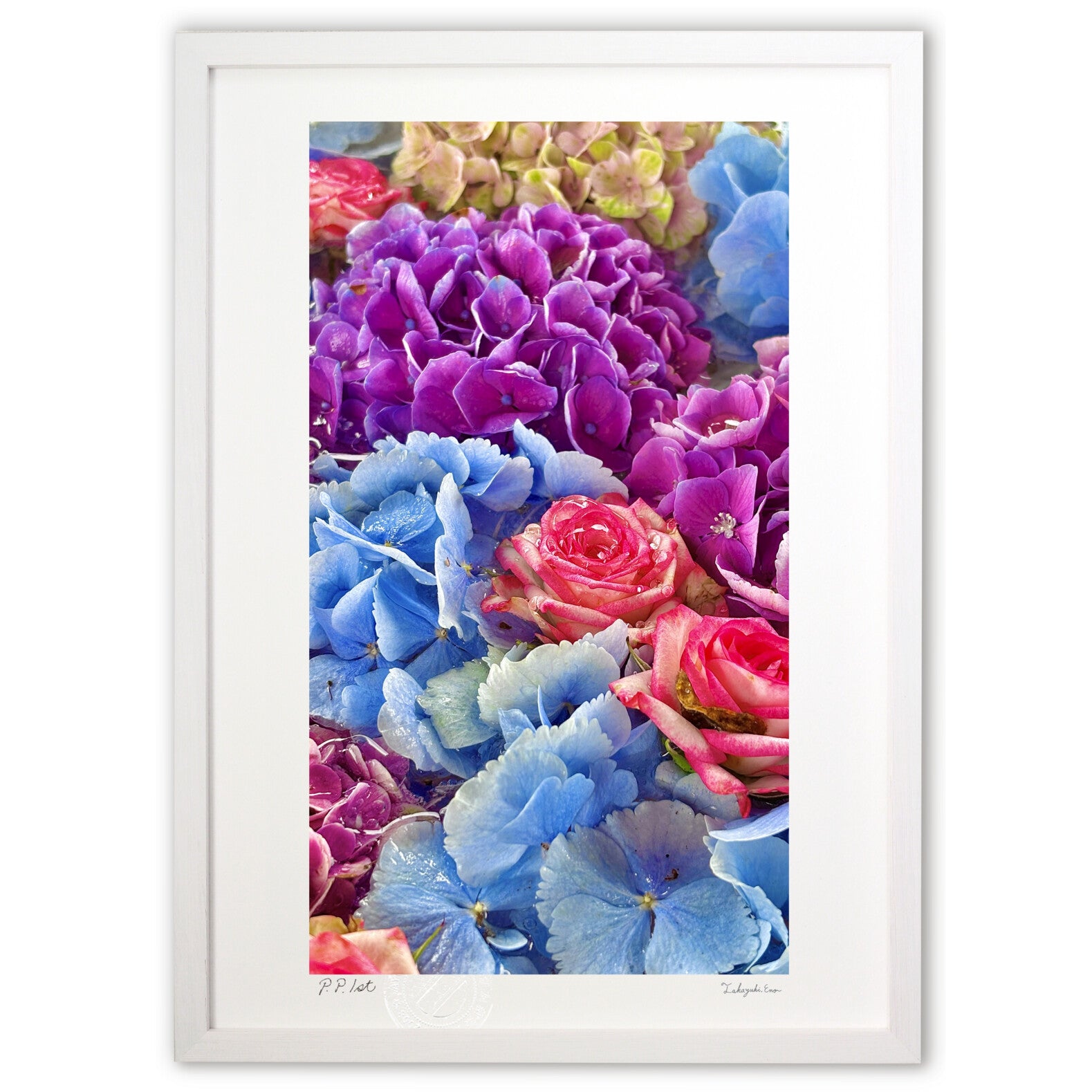 ローズと紫陽花 – 絵画や壁飾り販売｜風景投稿販売あゆわら(R)