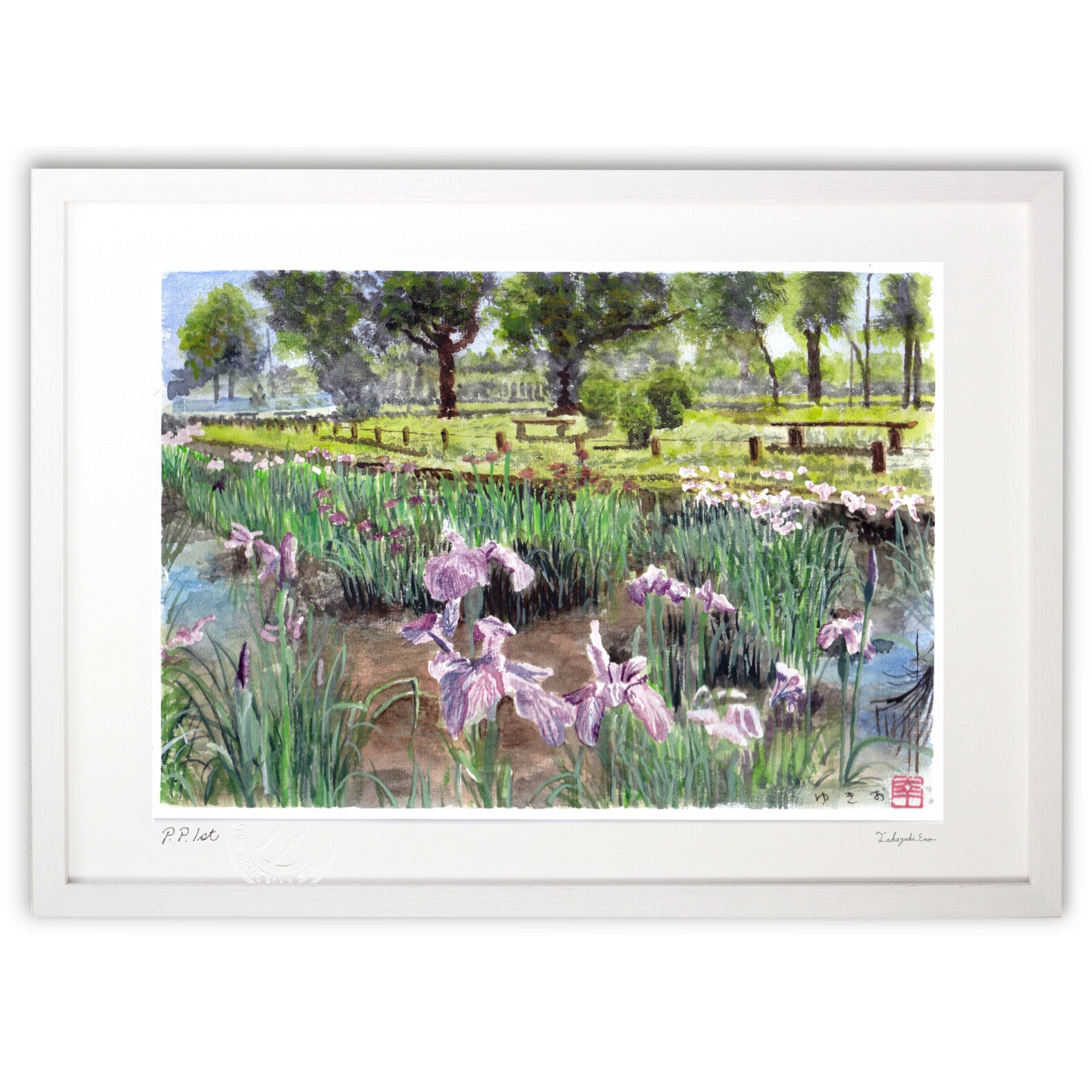 菖蒲 – 絵画や壁飾り販売｜風景投稿販売あゆわら(R)