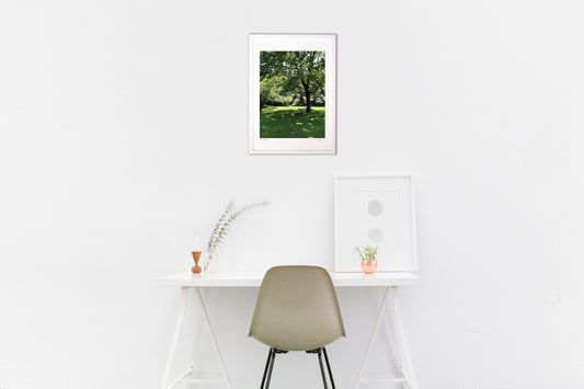 ベンチのある風景