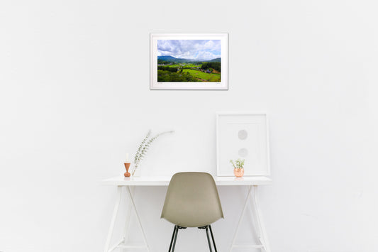 自然豊かな風景