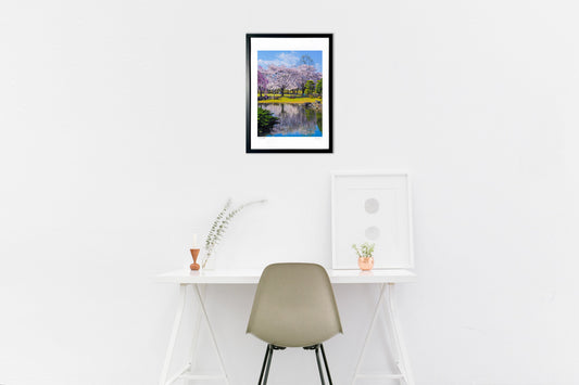 鮮やかな桜とリフレクション