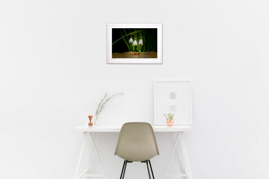 スズランスイセンダイニング