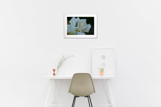 巻き過ぎず、巻かな過ぎず