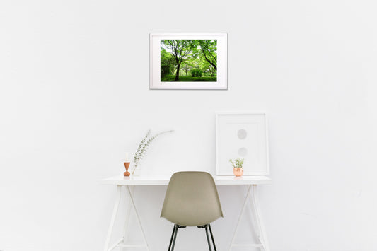 春光に包まれた緑