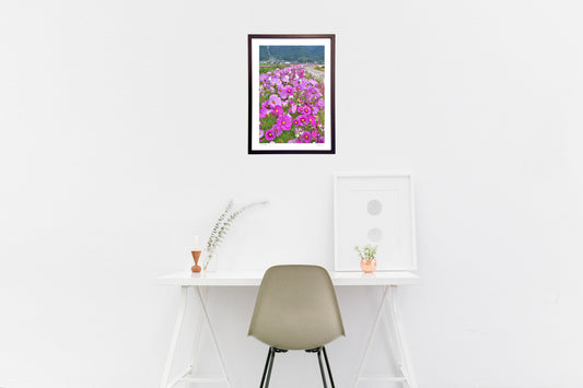 コスモスロード