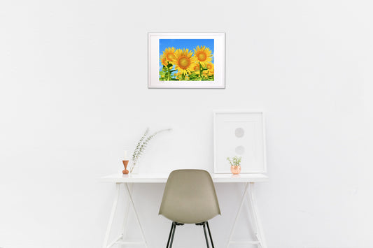 おひさまひまわり