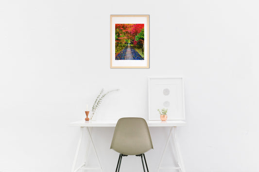 京都嵐山の紅葉風景