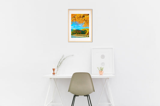 嵐山渡月橋と紅葉