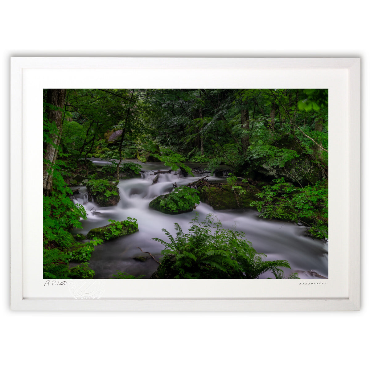 A gentle stream filled with greenery