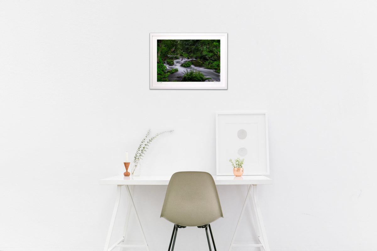 A gentle stream filled with greenery
