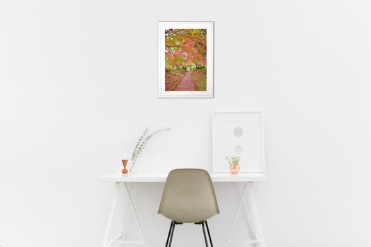 Stone steps and autumn leaves 🍁