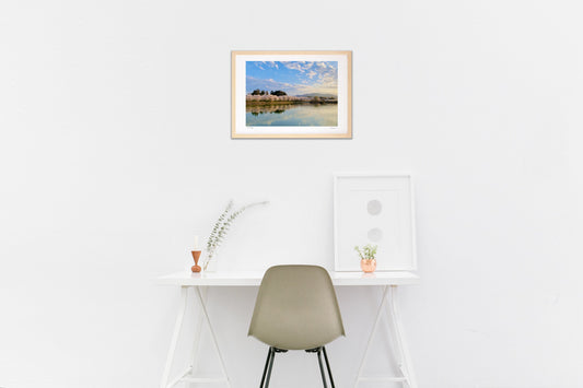 桜のリフレクション