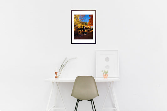 ムーミン谷の秋