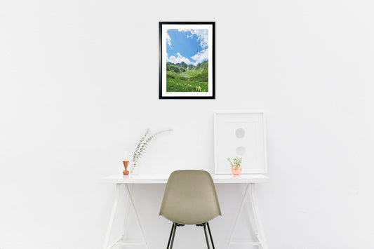 夏の千畳敷カール