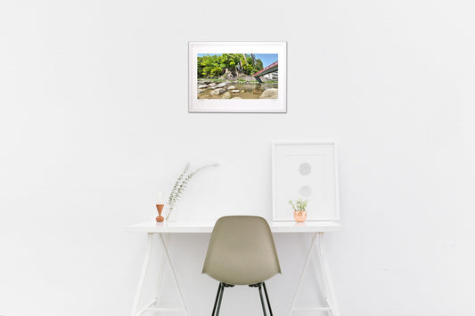 青葉に泳ぐ錦鯉