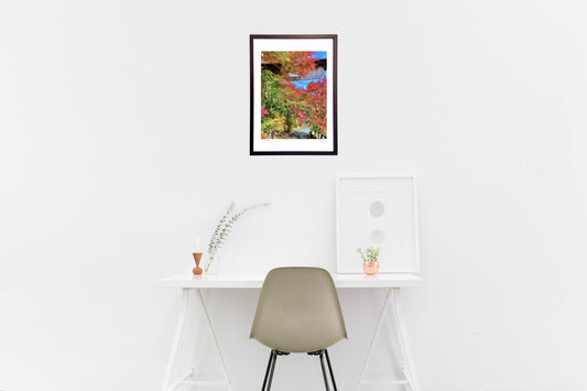 赤々と染まった紅葉🍁