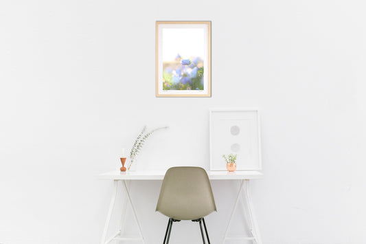 光とネモフィラ