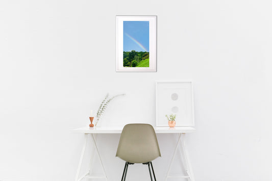 森を突き抜けるレインボー🌈