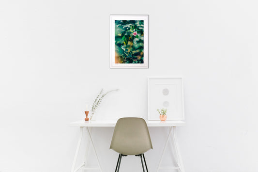 夢心地のローズ