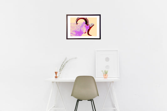 ドールシープ-巨角