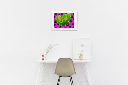 グリーンスネーク-巻き巻き