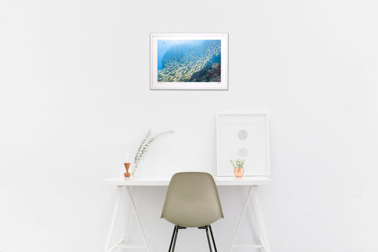 海の中の小宇宙