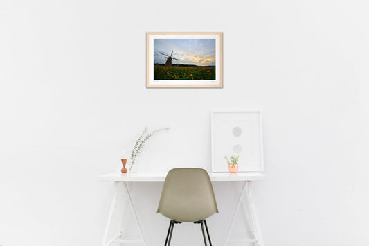 ひまわりと夜明け