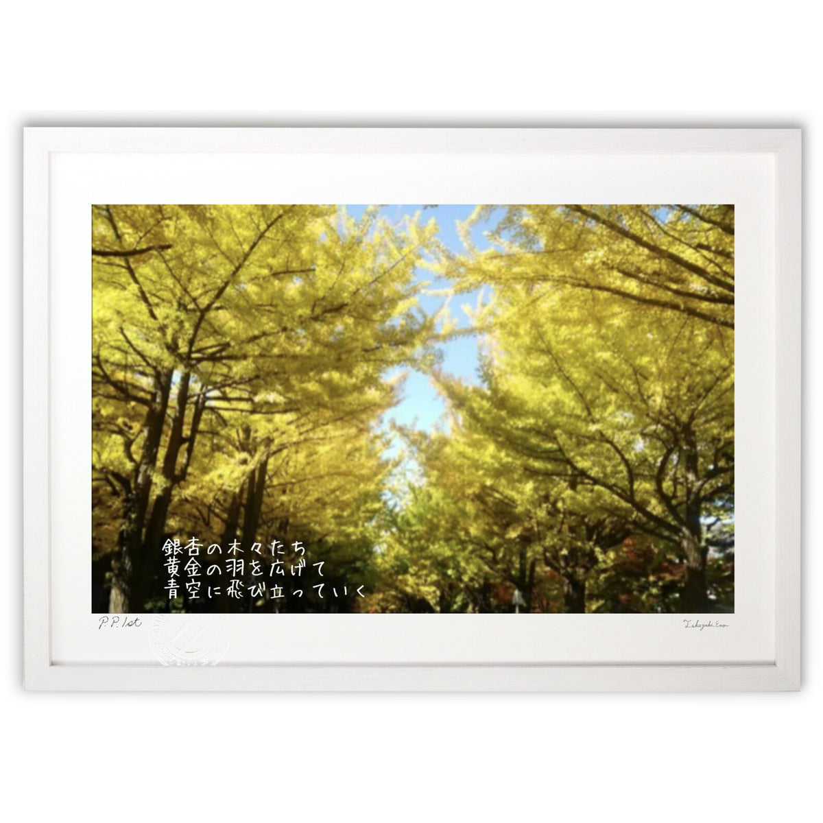 Ginkgo tree-lined street