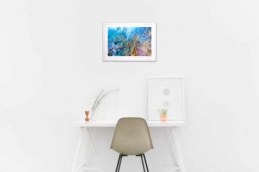 カラーパレット1