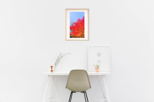 なにげない紅葉の風景